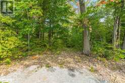 LOT 624 FOREST Circle Tiny